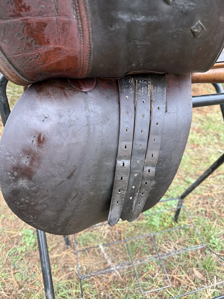 16.5” Northrun Ashland close contact saddle medium tree