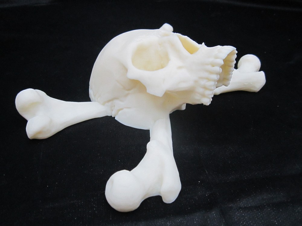 Pirate Skull and Cross Bones 3d Wall Art Display (Bone White)