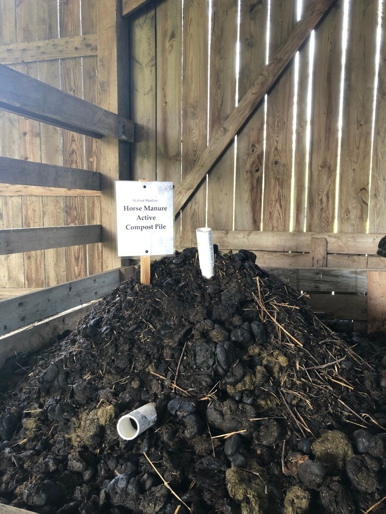 Walnut Meadow Horse Manure Compost: Dried
