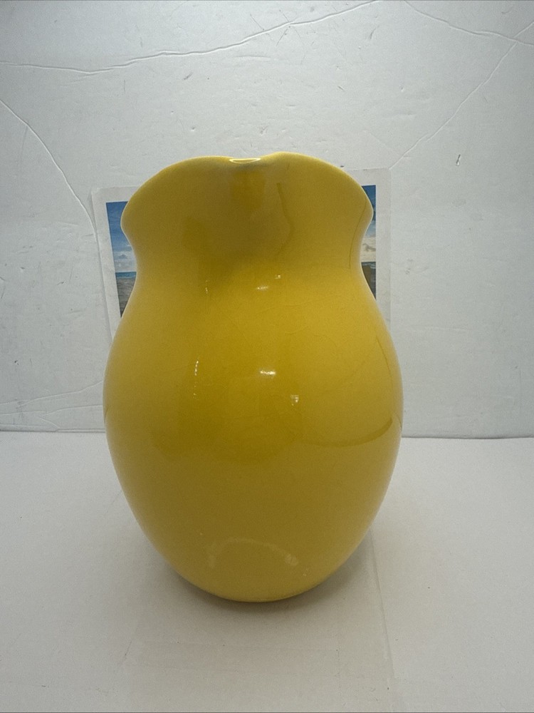 TELEFLORA Sunny Days 7.5" Pitcher