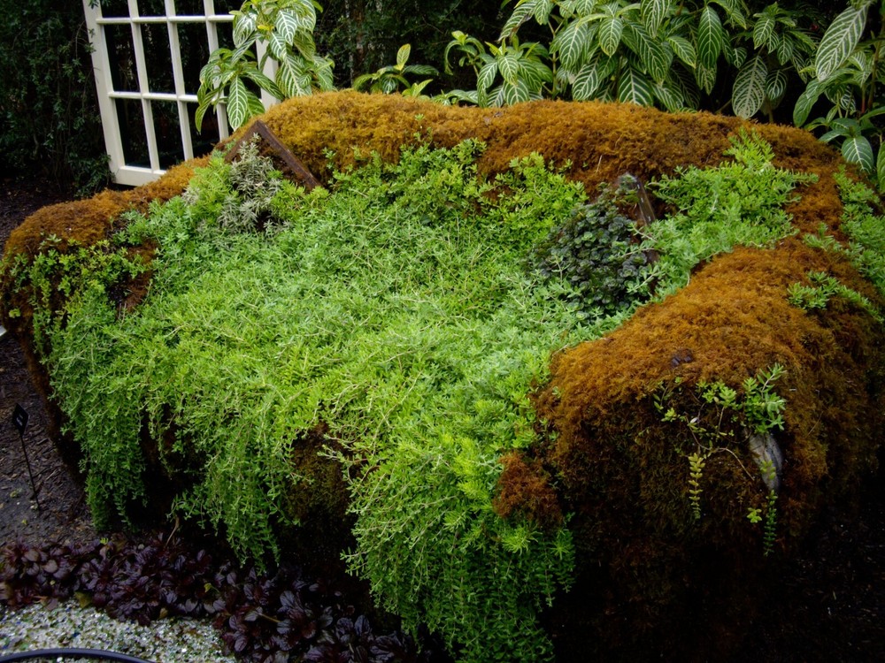Fresh Sheet Moss. 3 to 5 lb. Box - Approx. 3.5 square ft.