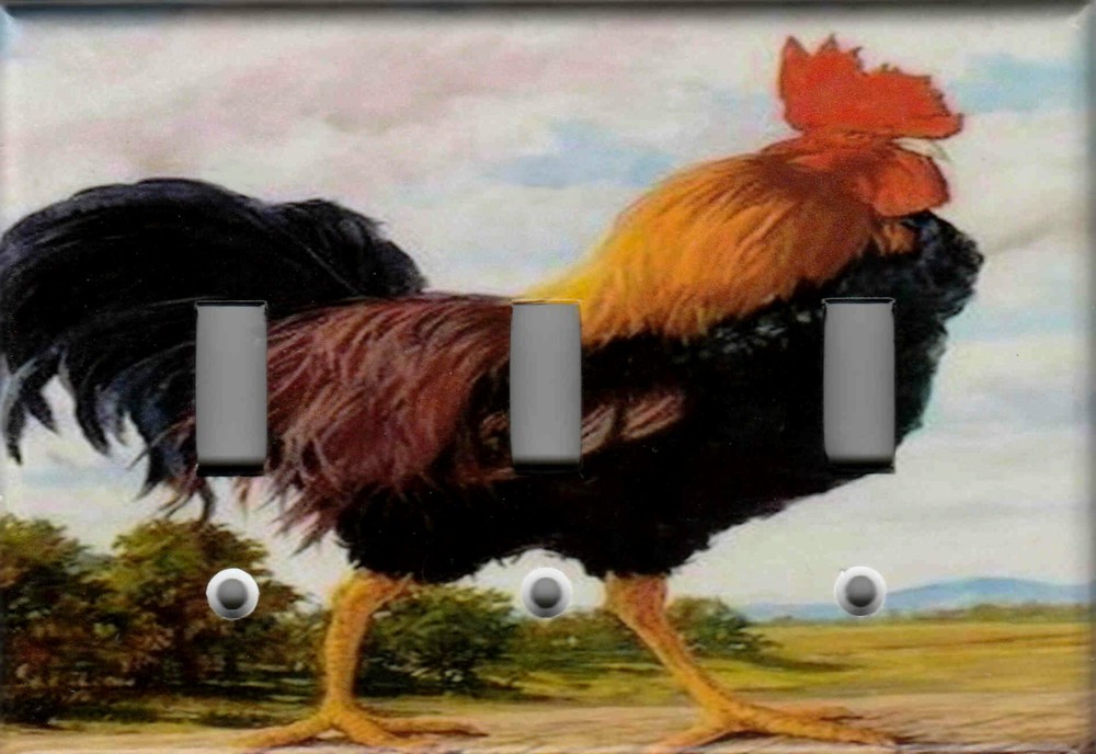 ROOSTER KITCHEN HOME DECOR LIGHT SWITCH PLATES AND OUTLETS