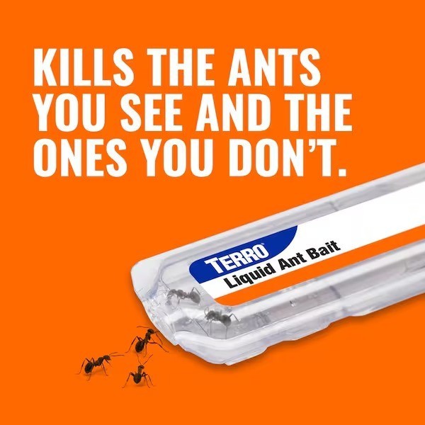 TERRO Indoor Liquid Ant Killer Baits 6-Count