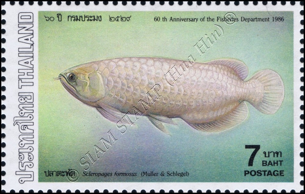 Fishes (IV) (MNH)
