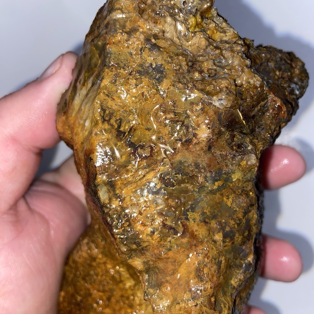 Gorgeous Icy Moss Agate Rough 1 Pound 12.25 Oz