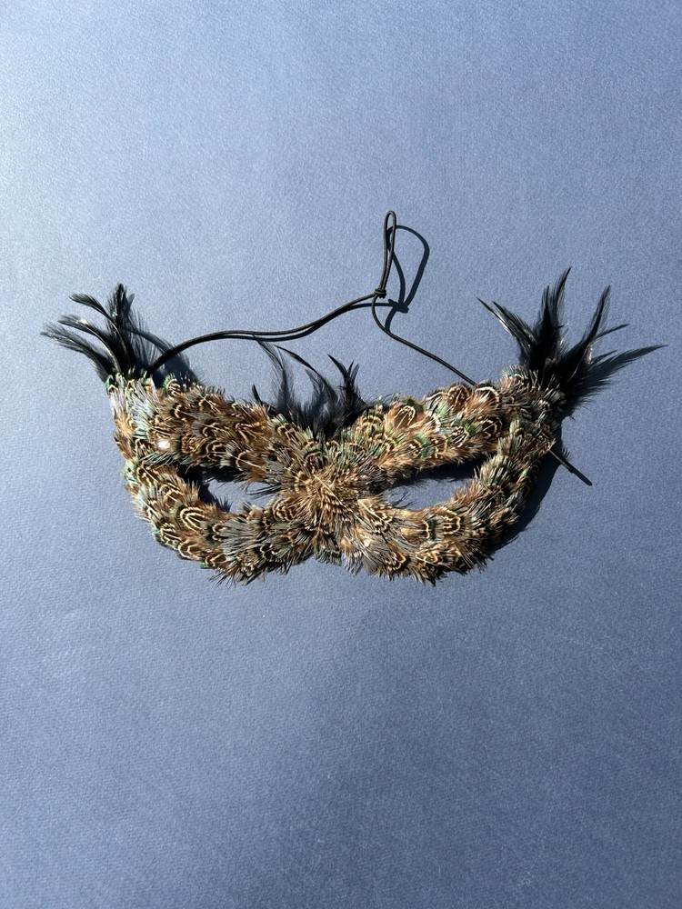 Feathered Masquerade Ball Half-Face Mask