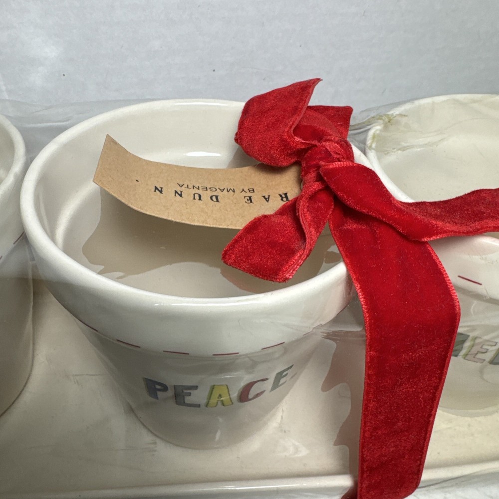 Rae Dunn Joy Peace & Merry Planter Set