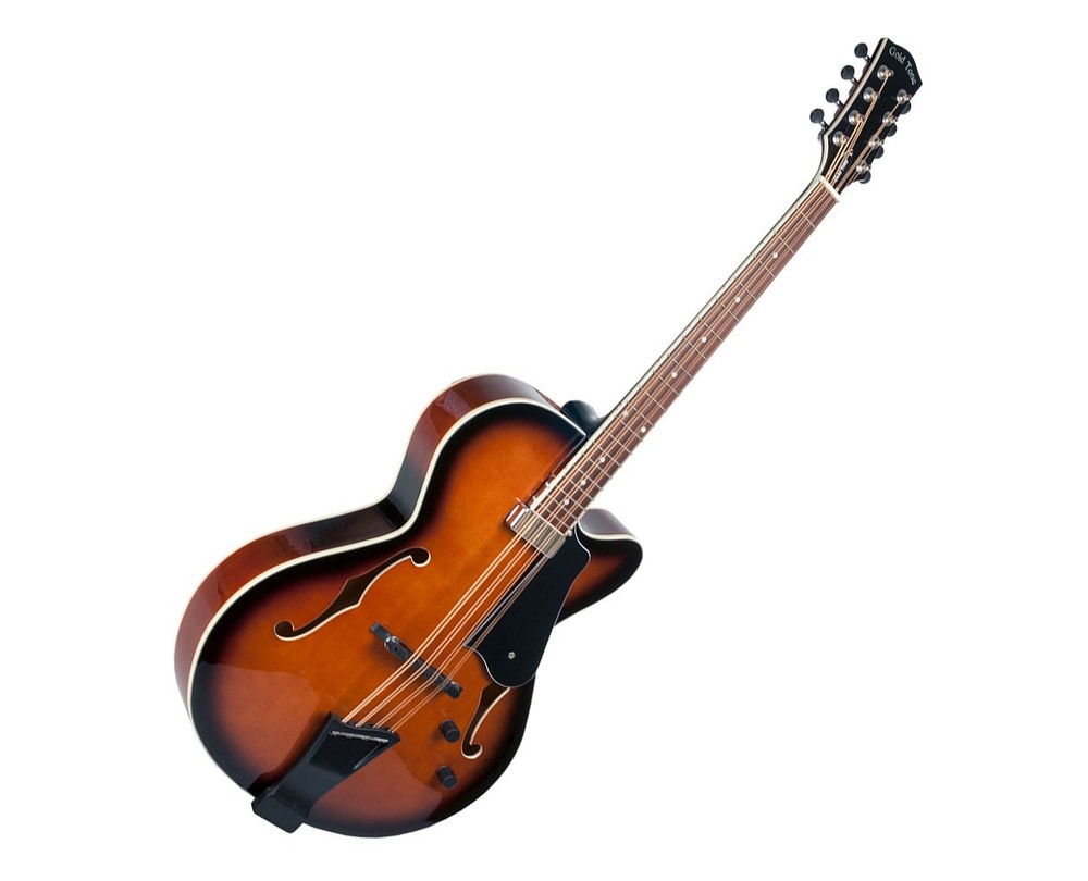 Gold Tone Mandocello