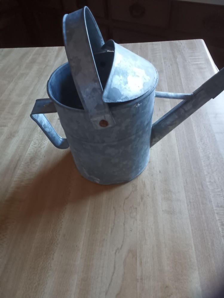 Galvanized watering can small