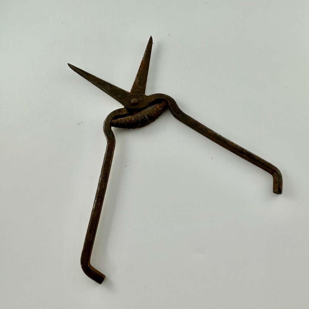 RARE Antique Scissors Primitive Spring Rustic Decor Stylist Collect Tool Crom?