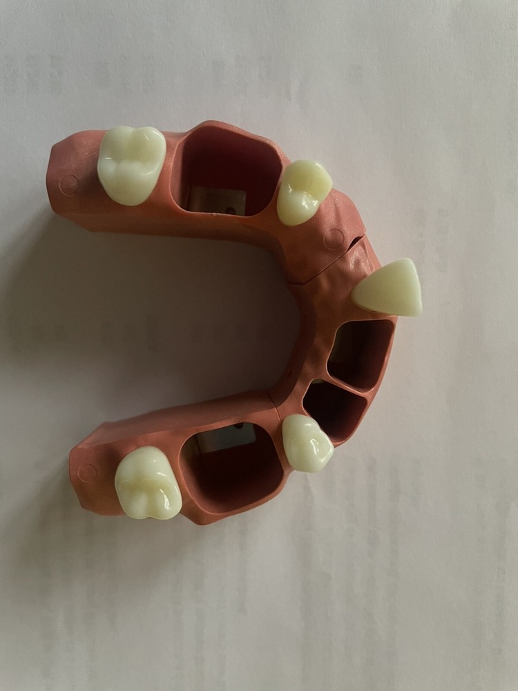 ACADENTAL ENDO Upper Anterior Module( M200)