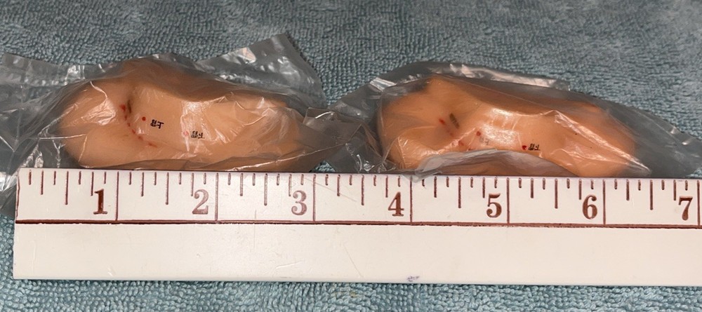 Acupuncture Left Ear Accupoint Model Replica Learning Simulation Lot/2 Unopened