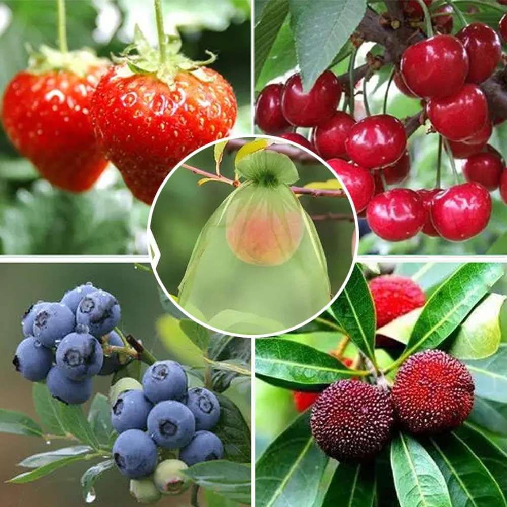 30Pack 3.9x5.9in Drawstring Fruit Mesh Bags for Fruit Trees & Vegetables