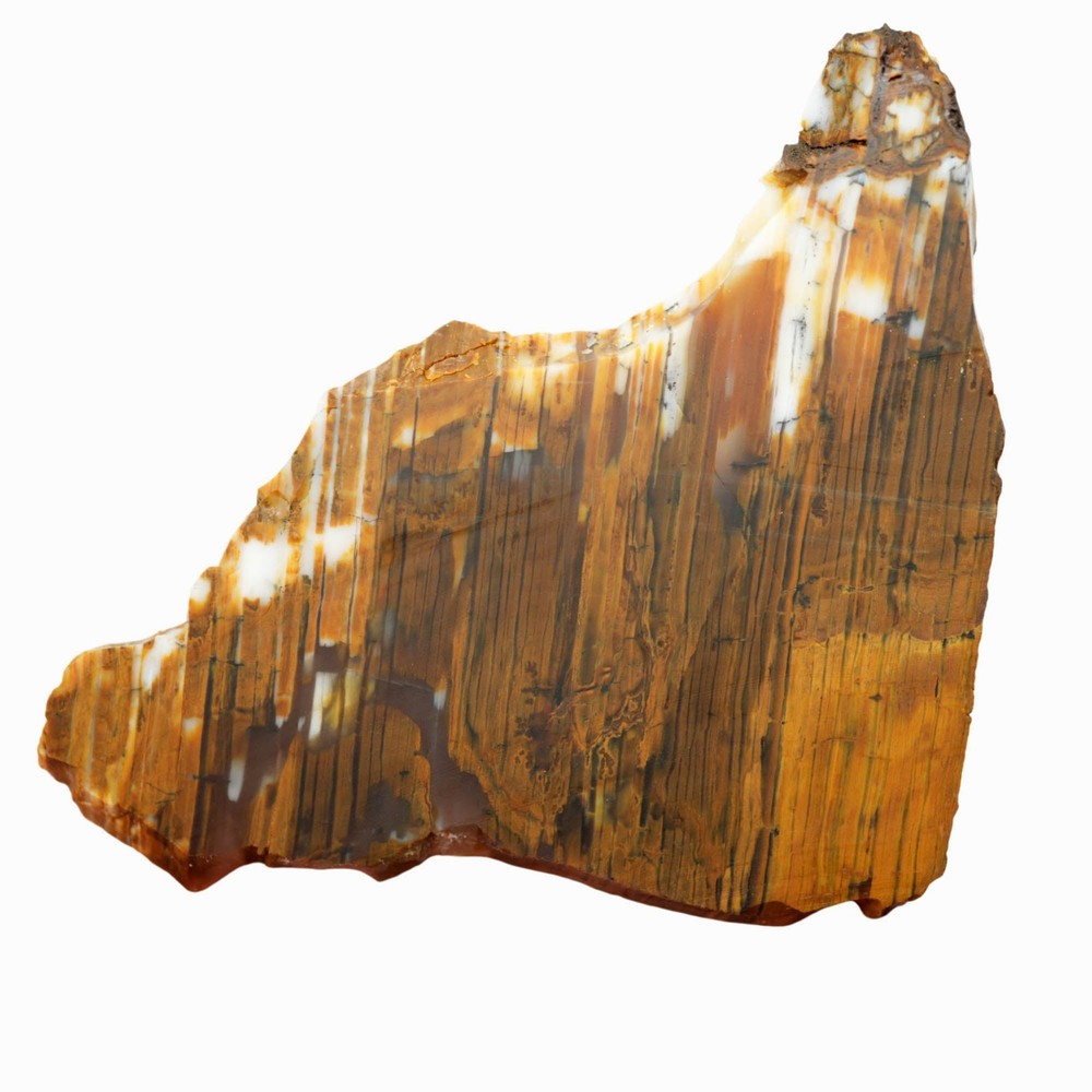 Wascoite Slab - Strata Coffee Pattern