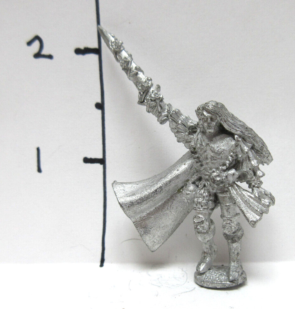 D&D AD&D  - Elven Lord or Champion