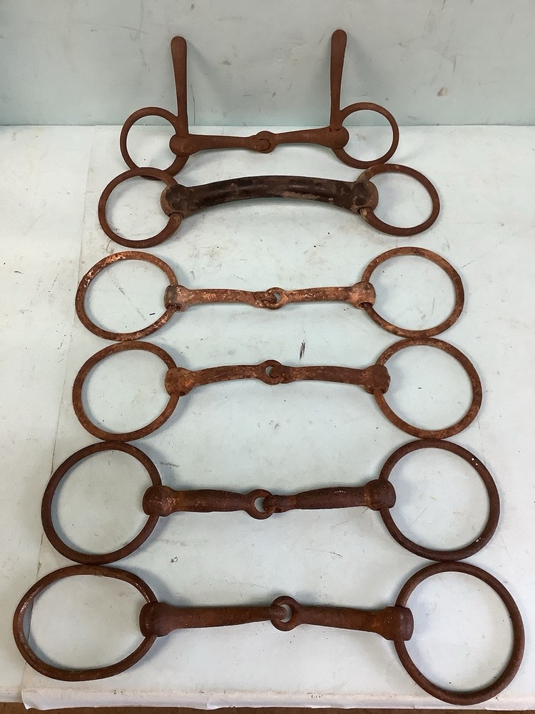Antique Horse Bits (6)