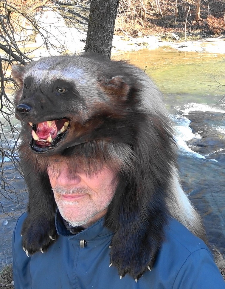 Wolverine fur hat