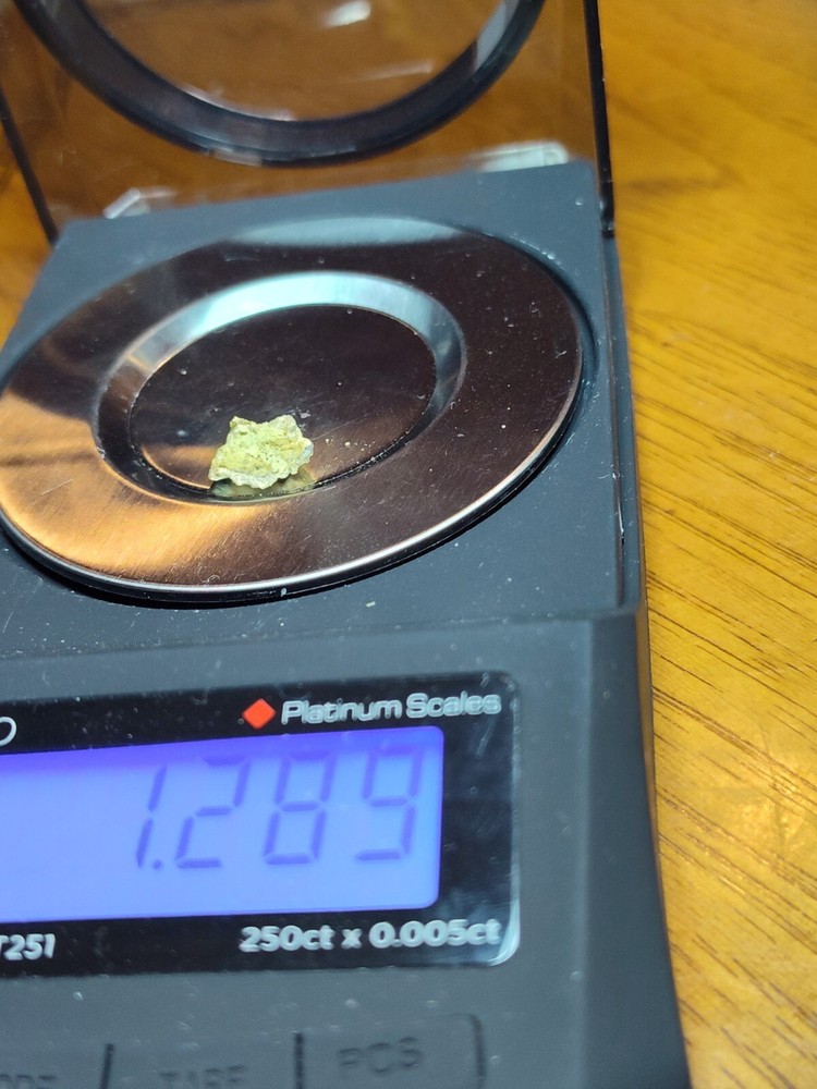 california gold nugget