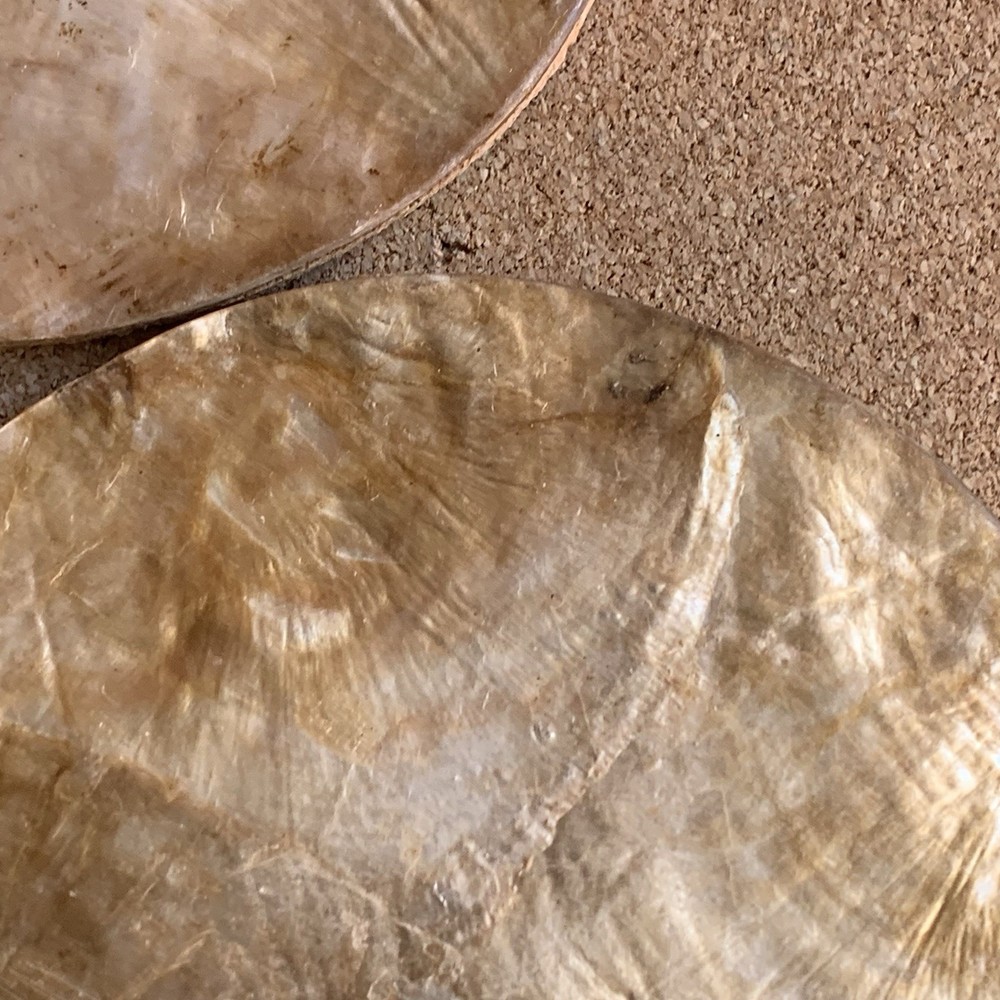 Set Of 4 Capiz Shell Coasters 4”