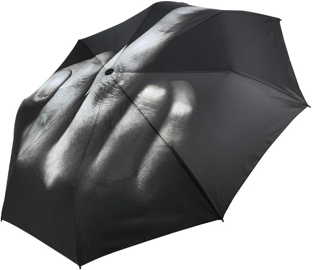 DS. DISTINCTIVE STYLE Middle Finger Umbrella Funny Folding Creative