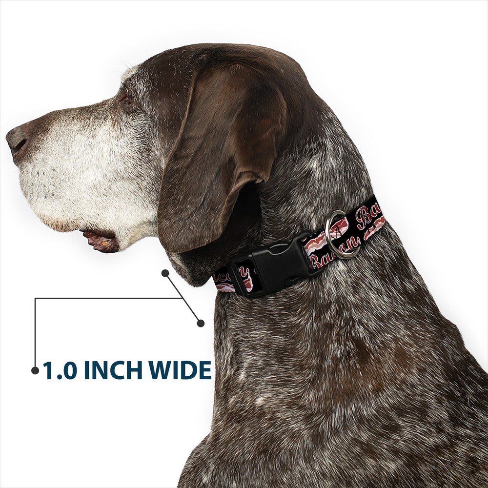 Plastic Clip Collar BACON Baseball Script NARROW-Large 9.5-14.5"