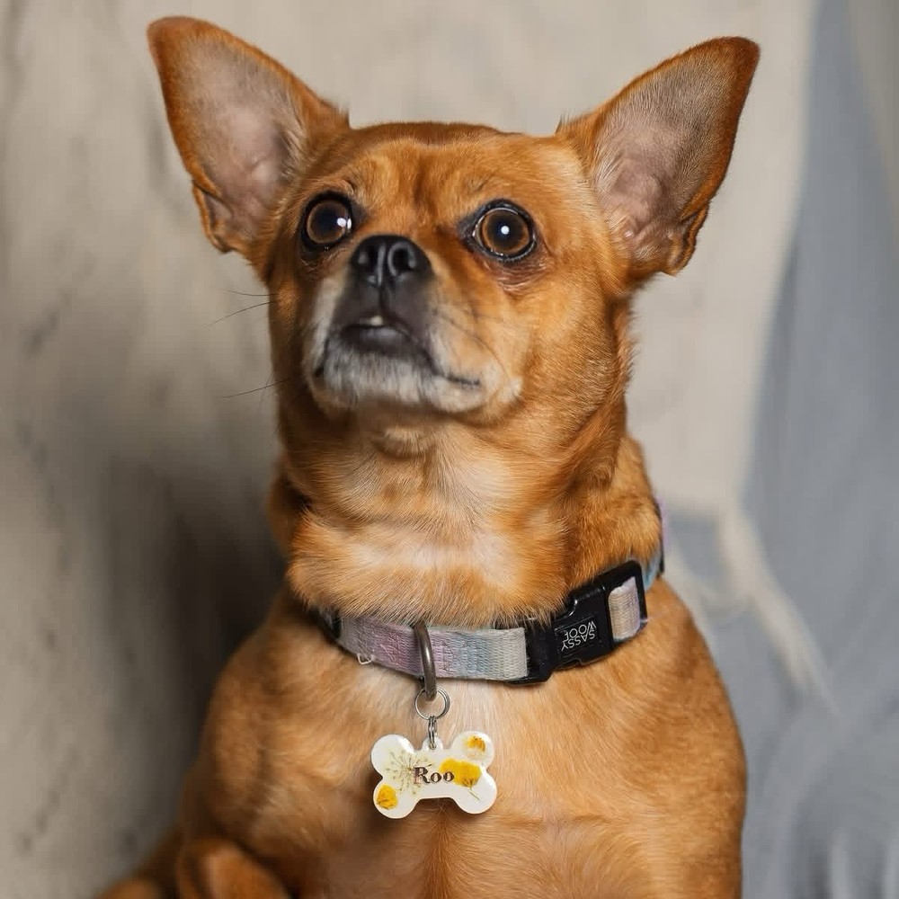 Personalized Resin Pet Tag