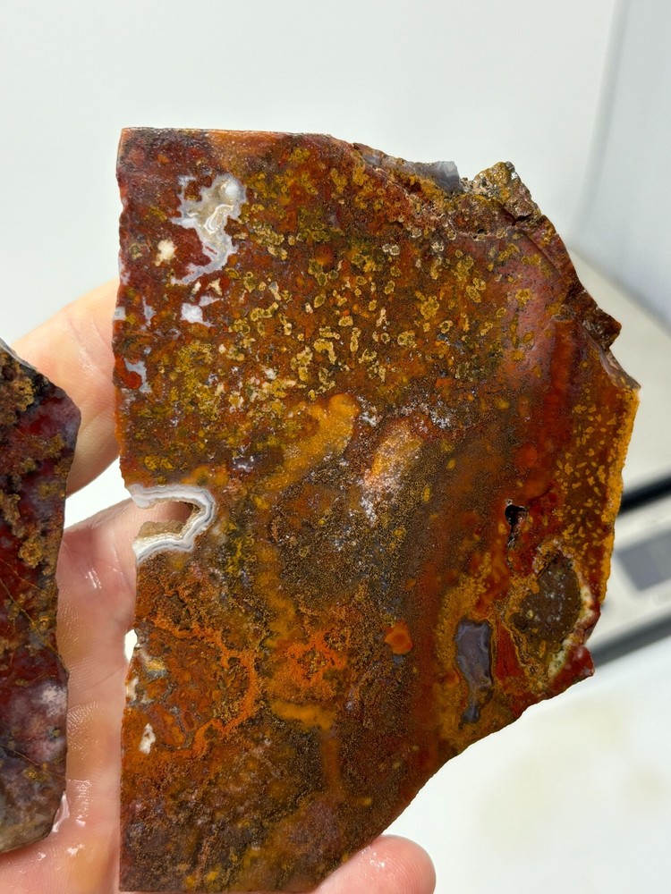 Mexican Cathedral Agate Slabs Cabbing Lapidary Combo Ship Avail