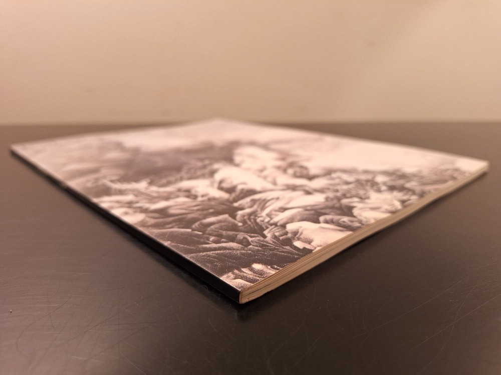 Liu Dan Alternative Visions 1993