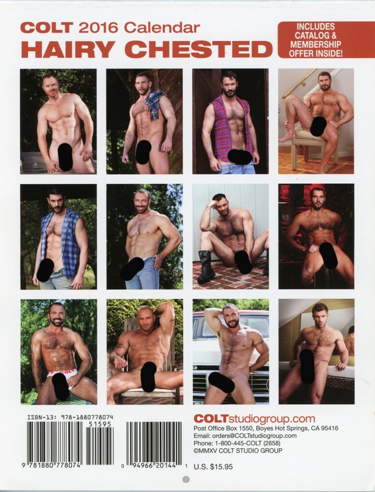 Colt Studios 2016 Hairy Chested Calendar - Great condition - Beefcake