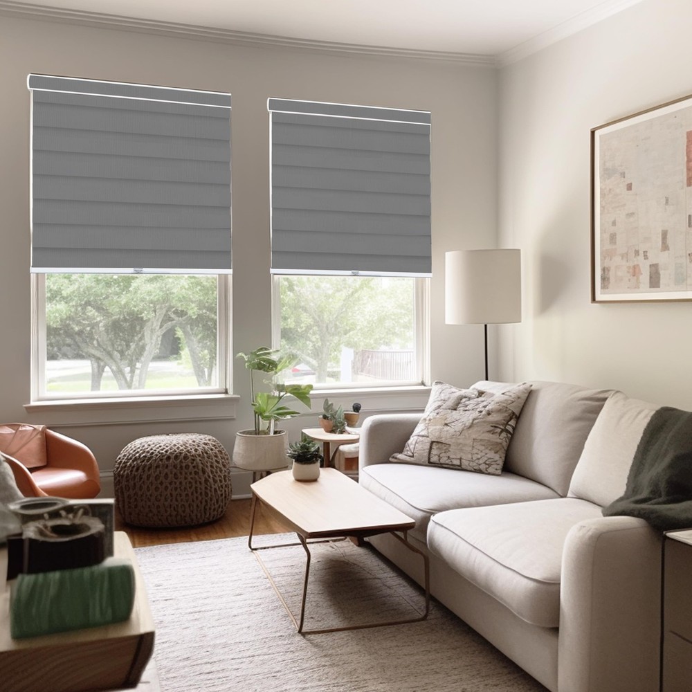 Zebra Blinds, Roller Window Shades, Blinds for Windows, Roller Shades for Win...