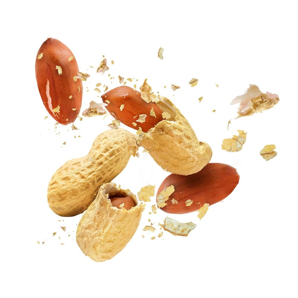 Fruidles Raw Peanuts, Raw Peanuts in Shell, Great for Boiling Squirrels Feed 2LB