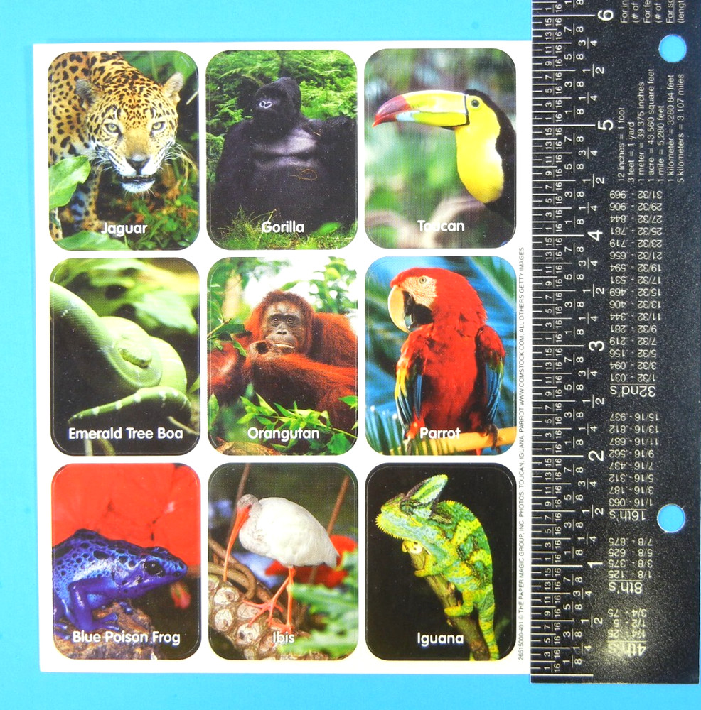 Vintage Eureka Rainforest Animals Sticker Sheet
