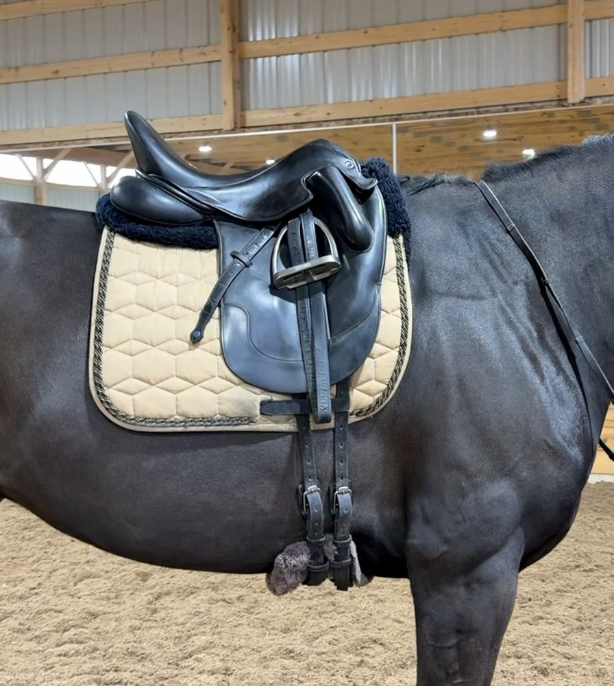 18.5” Tota comfort saddle Evolution Pro