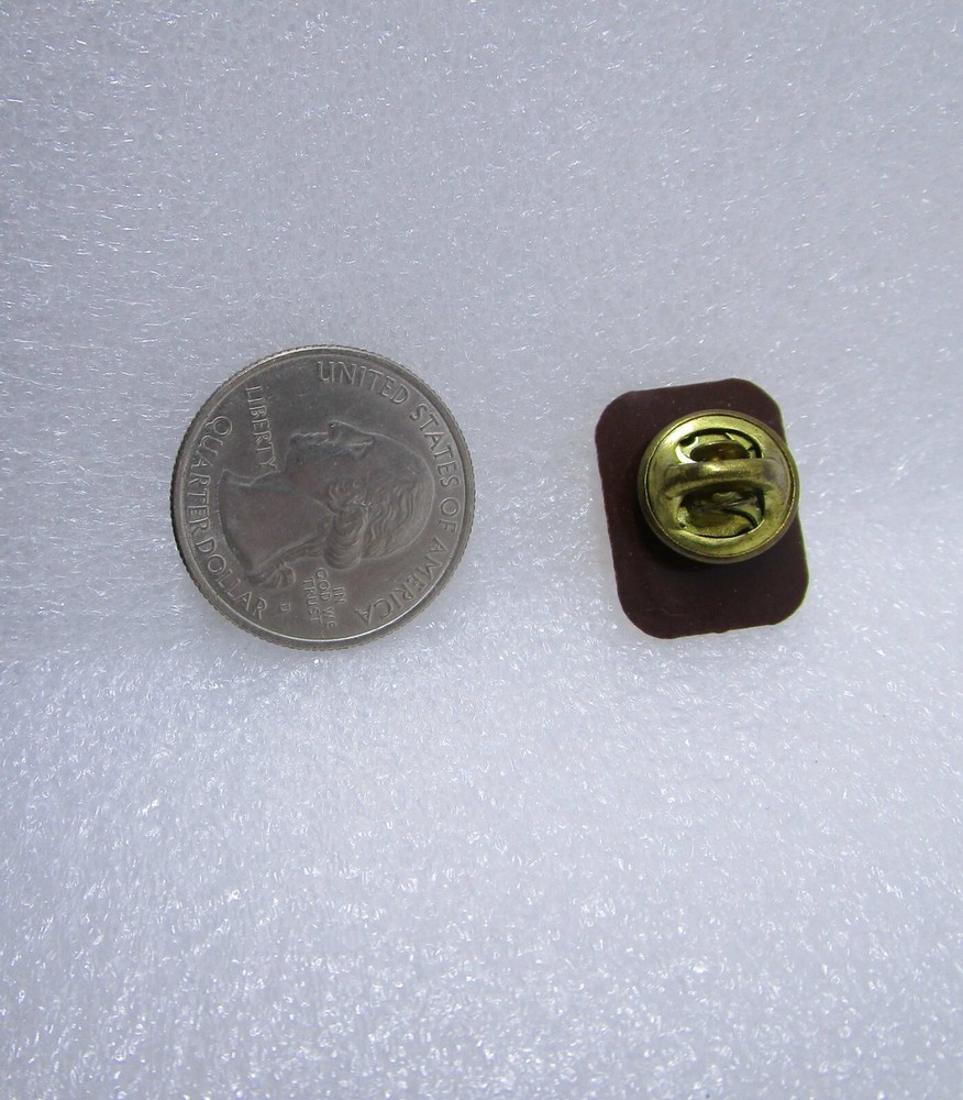 Pontiac Schools - You Can Plastic Pin