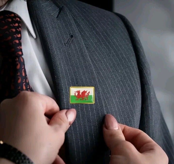 Rectangle Shape, Wales Themed, Pin Badge