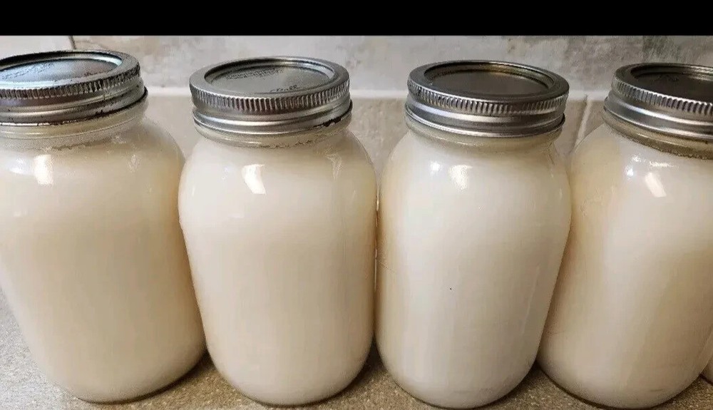 100% Organic Leaf Lard From Small Florida Farm