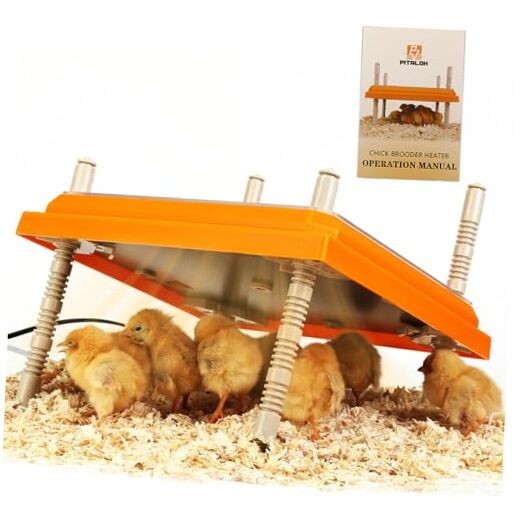 Brooder Heater for Chicks: Chick Brooder Heating Plate with Easy- Orange-10x10