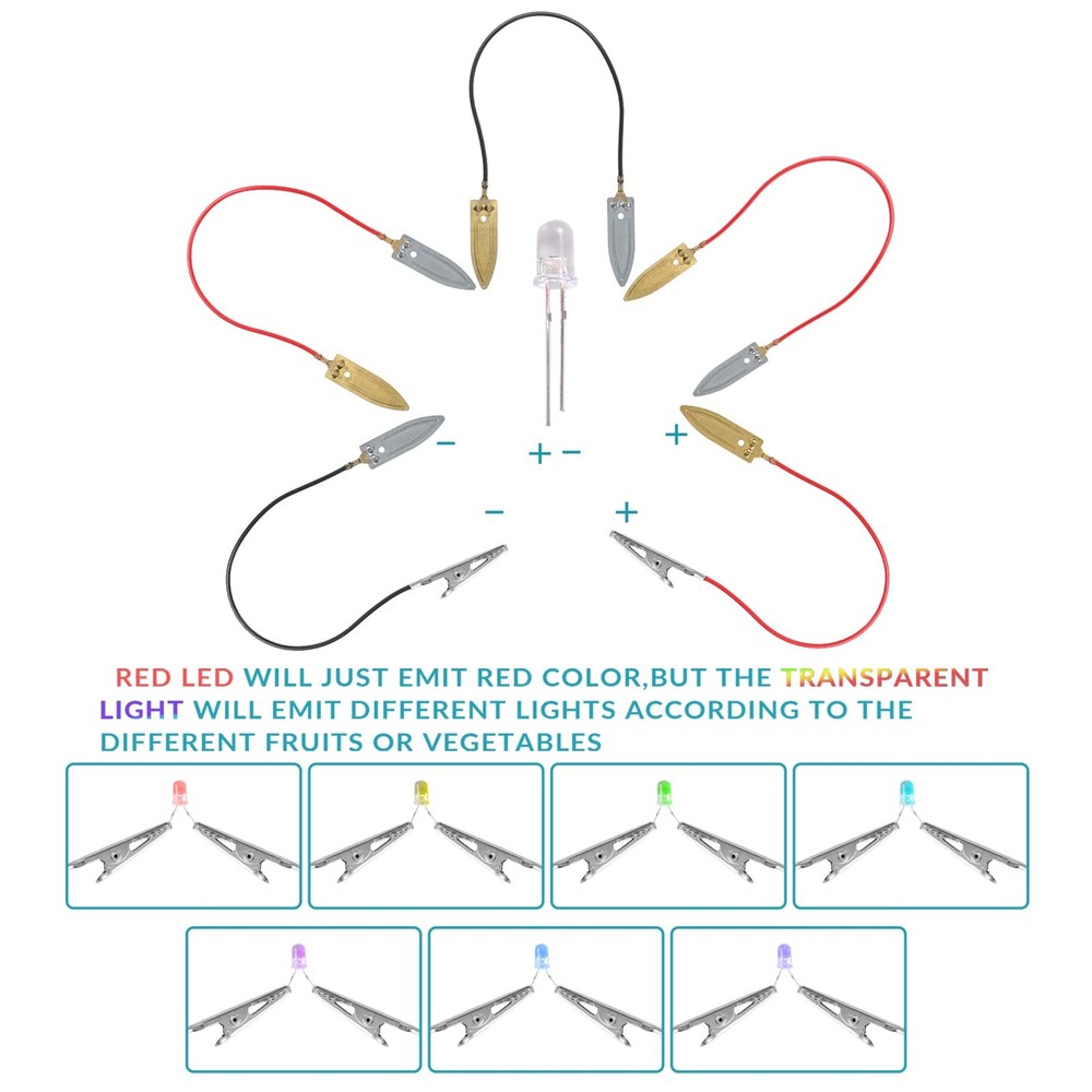 Fruit Battery Science Experiment Kit Instruction, Potato Science Educational Kit
