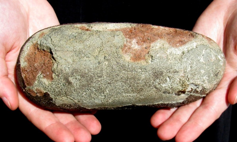 REAL DINOSAUR OVIRAPTOR EGG WITH EGGSHELL PRESERVED - VERY INFLATED & NICE FORM!