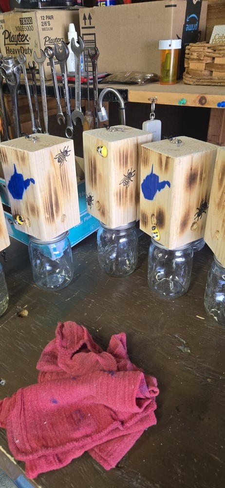 CARPENTER 'BORE' BEE TRAPS THAT WORK!