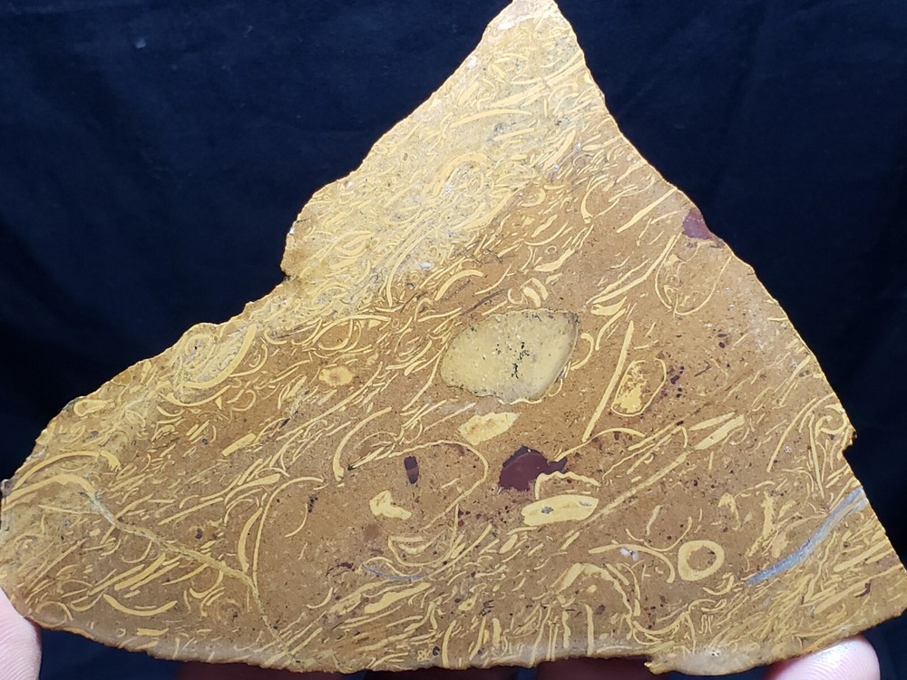 Script Stone rough slab from India (3.8 oz.)