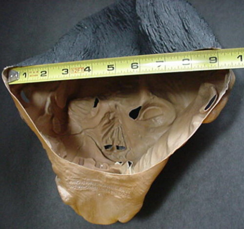 Zombie Monster Halloween Mask
