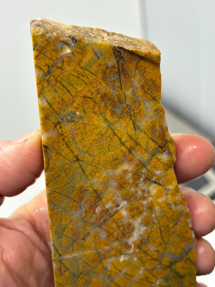 Brecciated Jasper Slab Cabbing Lapidary Combo Ship Available