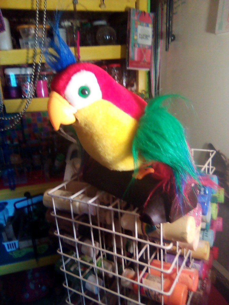 Colorful Parrot That Talks