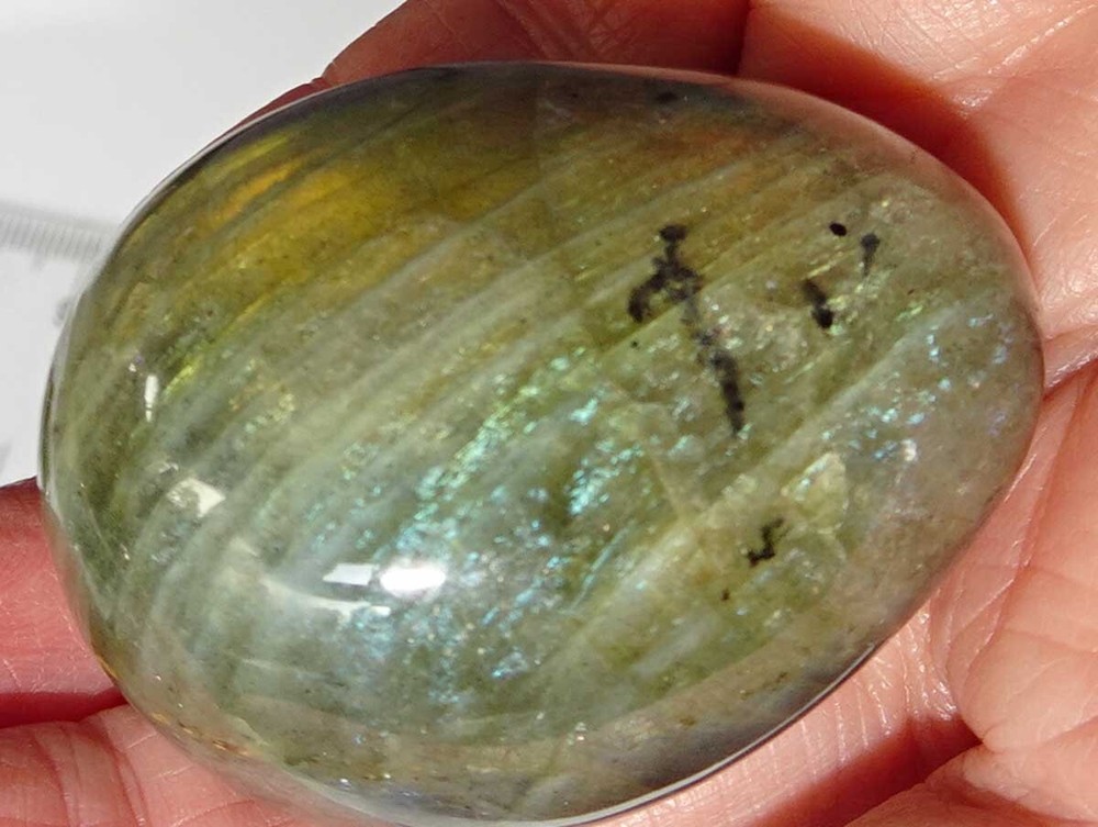 Labradorite Palmstone sc871a
