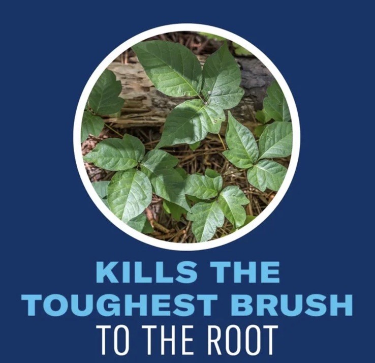 BioAdvanced Brush Killer Plus Concentrate, Kills Poison Ivy, 32 fl oz