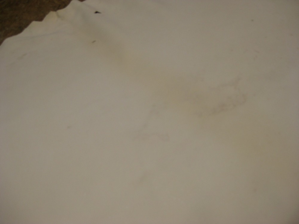 Deer Split White # 0018882 Row 157