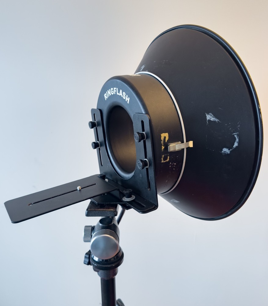 Bowens Ringflash for Dynalite with Camera Mount hardware and diffusor.