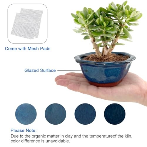 Bonsai Planter 6 pc Mini Glazed Succulent Pots Value Set + 6 Soft Mesh Set6b