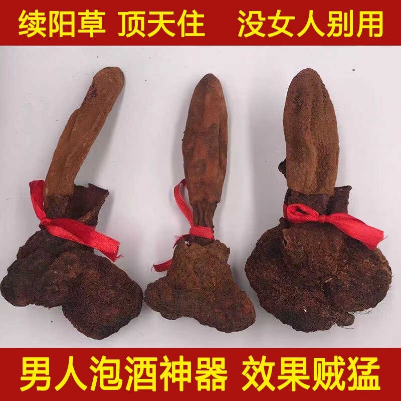 Pure Natural Increased Male Sexual Function 续阳草锁阳回春草250g（2根）【泡酒佳品】